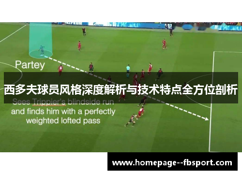 西多夫球员风格深度解析与技术特点全方位剖析